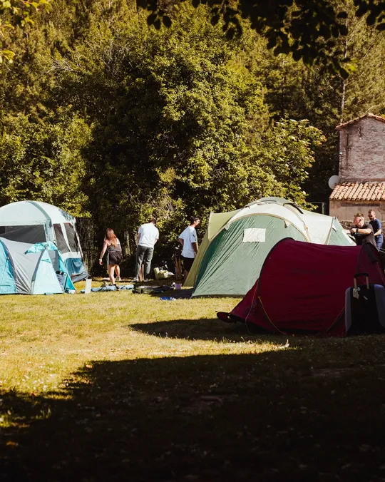 Tiendas de campaña en la zona de camping, entre árboles