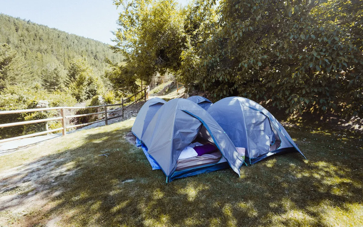 Tiendas azules iguales ya montadas sobre el césped, con la ropa de cama dentro y el monte de pinos al fondo